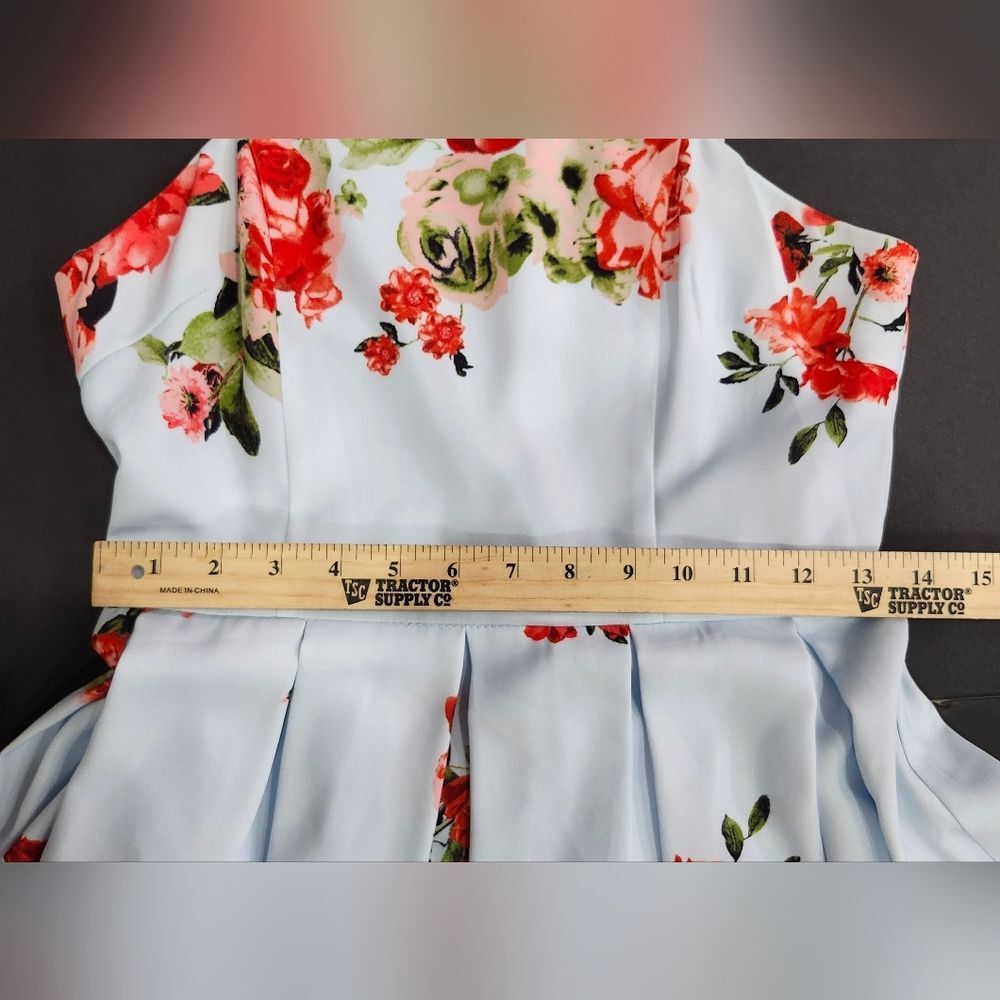 Gianni Bini Floral Mini Dress - Light Blue and Red - Picture 5 of 10